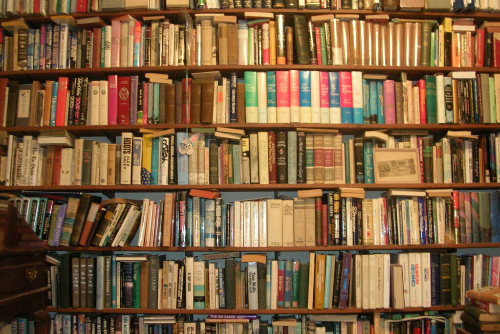 Shelves of books on a wooden bookshelf